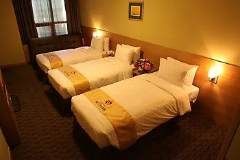 Hotel Skypark Central Myeongdong Seul
