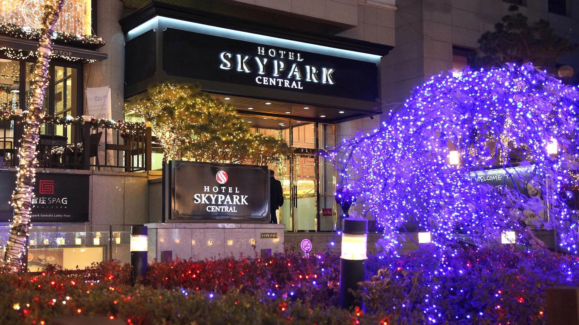 Hotel Skypark Central Myeongdong Seul